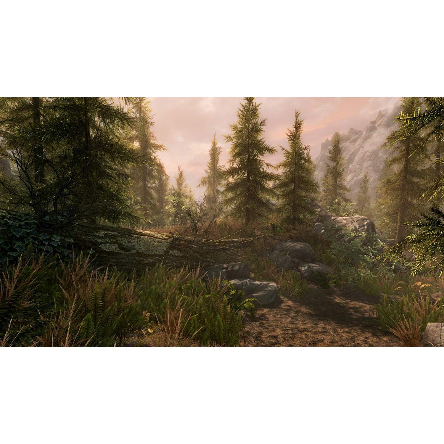 The Elder Scrolls V Skyrim Special Edition Remastered PS4