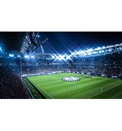 Fifa 19 in-game (1)