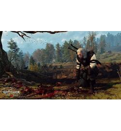 The Witcher 3: Wild Hunt