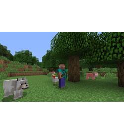 Minecraft - Starter Collection - PS VR Compatibel