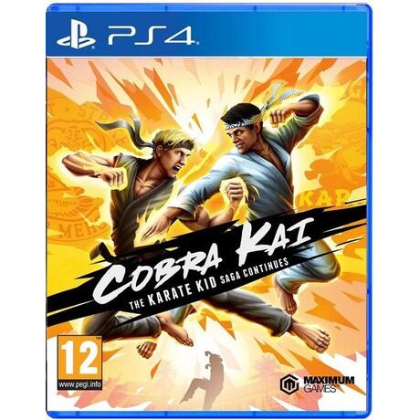 Cobra Kai: The Karate Kid Saga Continues